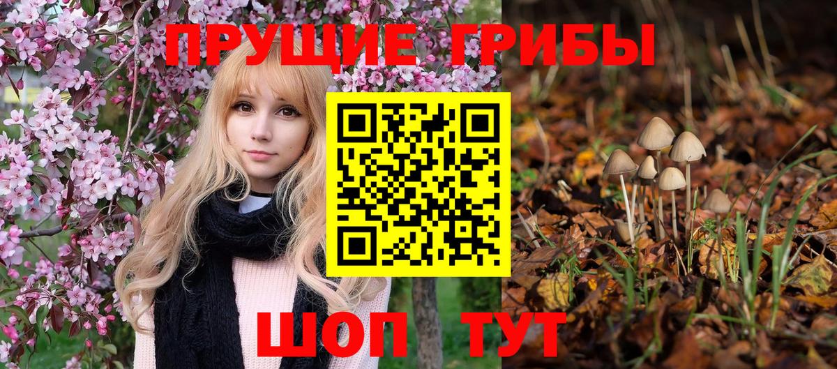 Брянск  Галлюциногенные грибы мицелий  Вход с VPN 